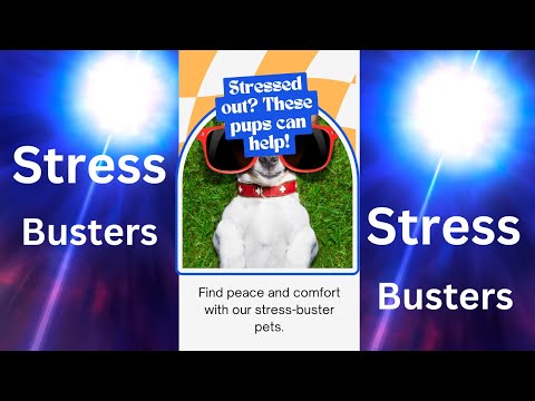 Stress Buster Relaxing Moments